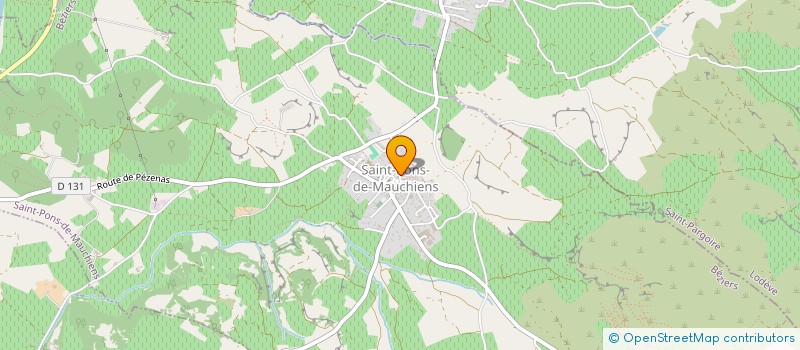 localisation de l'entreprise MADAME NADYNE NOUVEL  SAINT-PARGOIRE