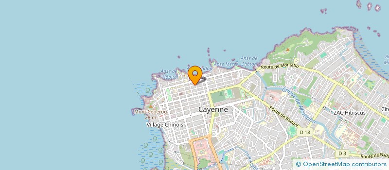 localisation de l'entreprise MADAME NAELLA WAYA  CAYENNE