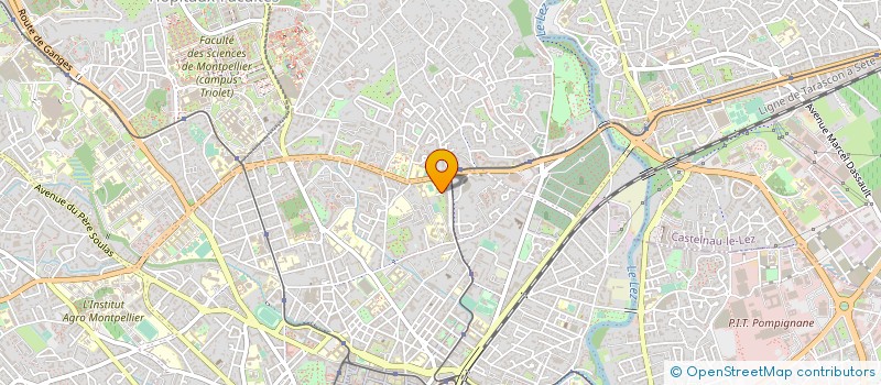 localisation de l'entreprise MADAME NAEVA DRAI à MONTPELLIER