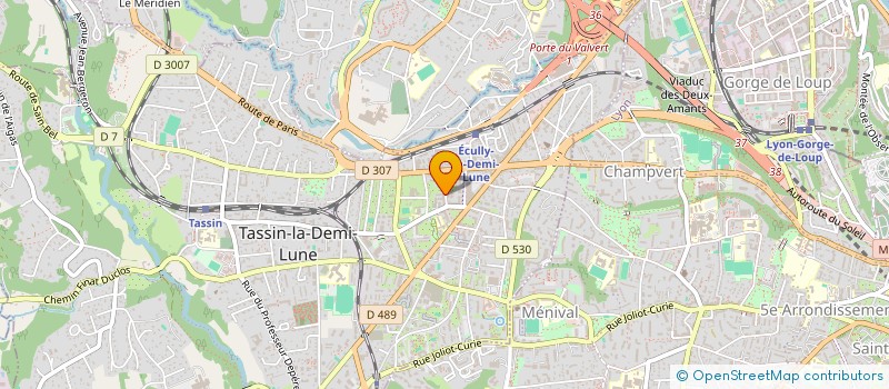 localisation de l'entreprise MADAME NAFISSATOU CISSE  OULLINS-PIERRE-BENITE