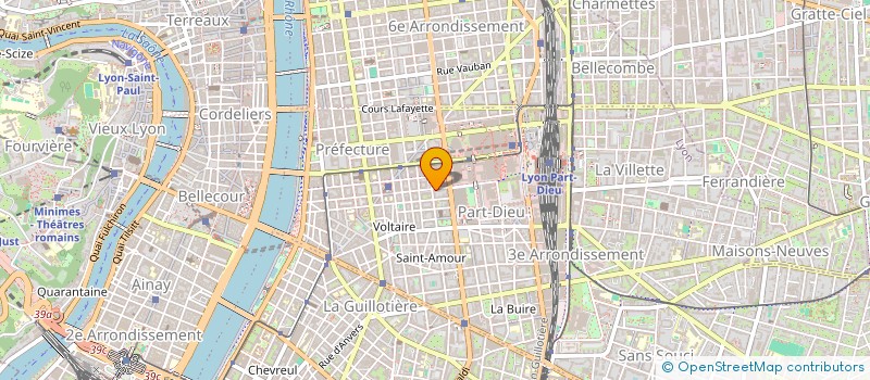 localisation de l'entreprise MADAME NAFISSATOU SOUMARE  LYON