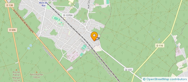 localisation de l'entreprise MADAME NAIG COZANNET à BOIS-LE-ROI