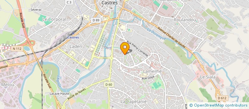 localisation de l'entreprise MADAME NAIKA MOHAMED  CASTRES