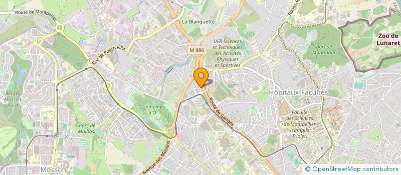localisation de l'entreprise MADAME NAILYE BERNET à MONTPELLIER