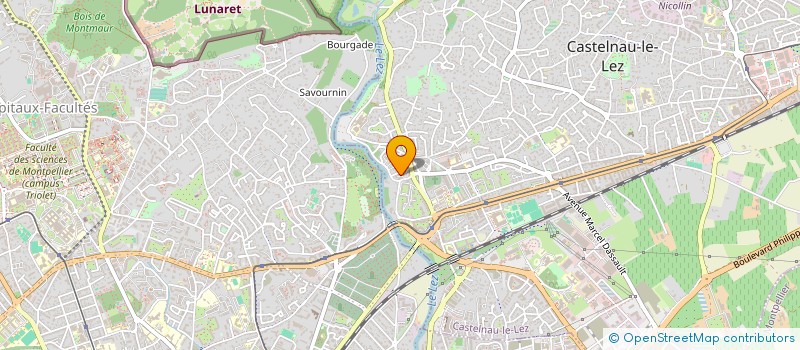 localisation de l'entreprise MADAME NAIMA ARABI à CASTELNAU-LE-LEZ