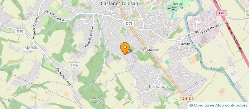 localisation de l'entreprise MADAME NAIS MUNIER à CASTANET-TOLOSAN