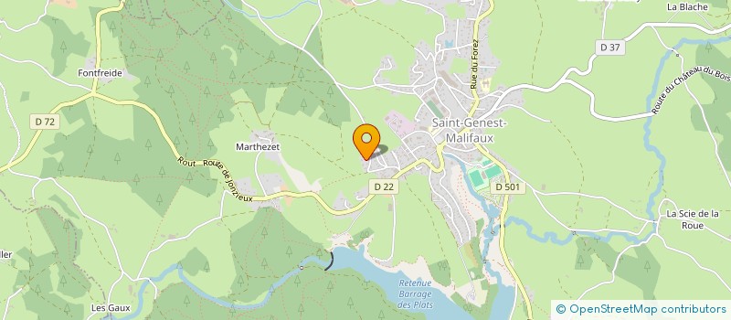 localisation de l'entreprise MADAME NAJIA ARIF  SAINT-ETIENNE