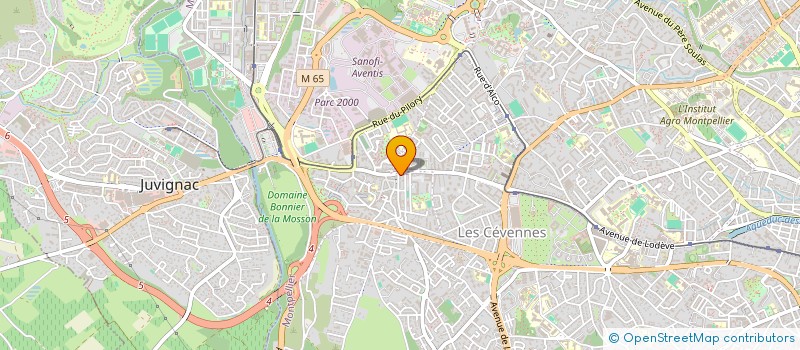 localisation de l'entreprise MADAME NAJIBA DHRIF à MONTPELLIER