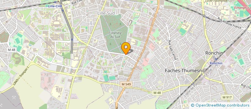 localisation de l'entreprise MADAME NAJIMA ELMESAOUDI à LILLE