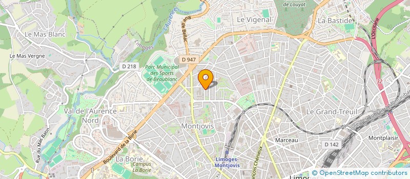 localisation de l'entreprise MADAME NANCY DELOUIS à LIMOGES