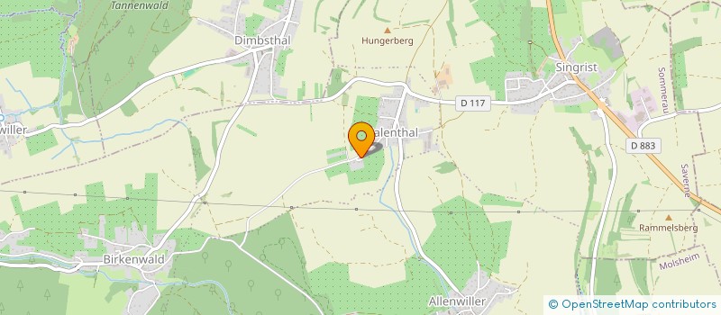 localisation de l'entreprise MADAME NANCY FORNER  SOMMERAU