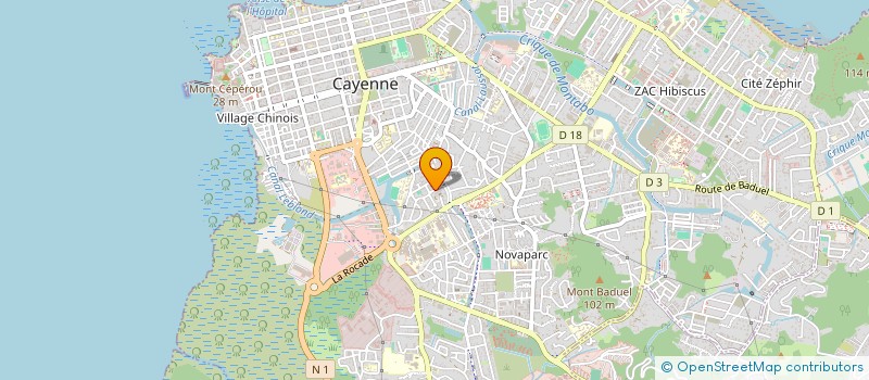 localisation de l'entreprise MADAME NANCY MANCEE  CAYENNE