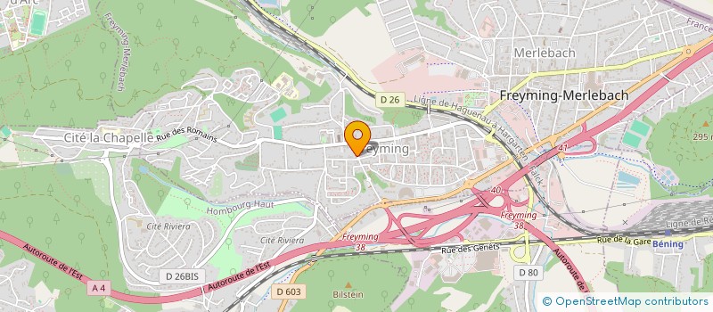 localisation de l'entreprise MADAME NANCY RIBU  FREYMING-MERLEBACH