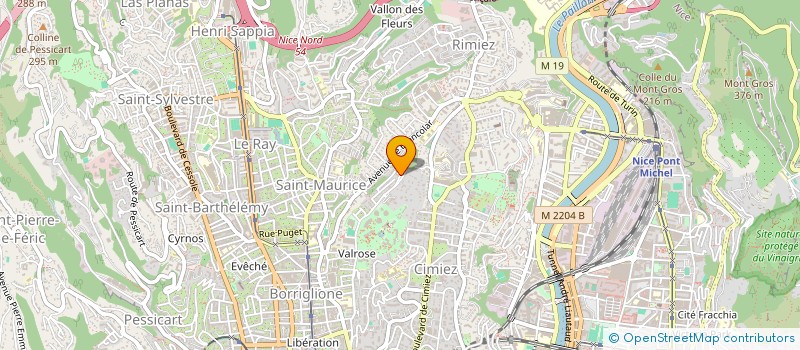 localisation de l'entreprise MADAME NAOMI BODNARESCU à NICE