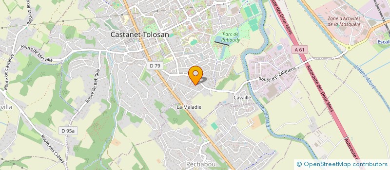 localisation de l'entreprise MADAME NAOMI DIBAS à CASTANET-TOLOSAN