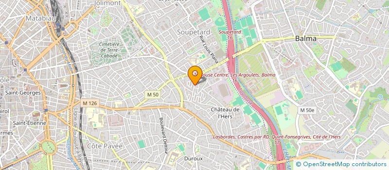 localisation de l'entreprise MADAME NAOMI FLORENTIN  TOULOUSE