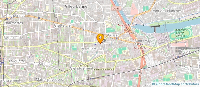 localisation de l'entreprise MADAME NAOMI RIEGERT  VILLEURBANNE