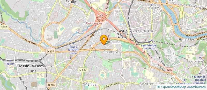 localisation de l'entreprise MADAME NAOUAL BOUJEDAINI à LYON