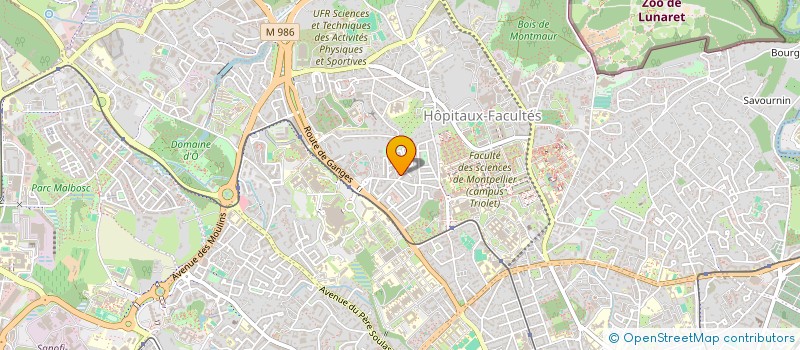 localisation de l'entreprise MADAME NAOUAL DAIF à MONTPELLIER