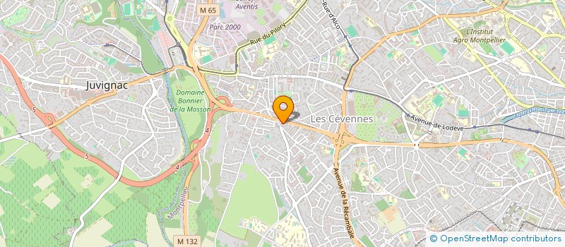 localisation de l'entreprise MADAME NAOUEL ABIDI à MONTPELLIER