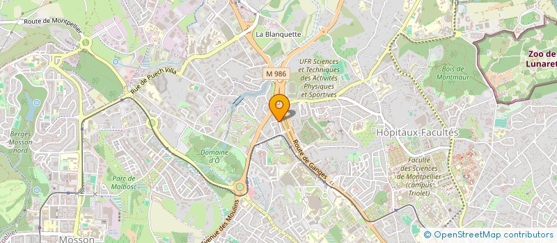 localisation de l'entreprise MADAME NARJISSE HADDOUCHI à MONTPELLIER