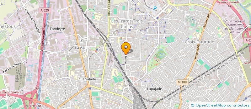 localisation de l'entreprise MADAME NASRA ABBAS AHAMED  TOULOUSE