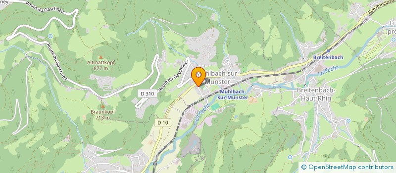 localisation de l'entreprise MADAME NASTASSAJA MICHEL  MUHLBACH-SUR-MUNSTER