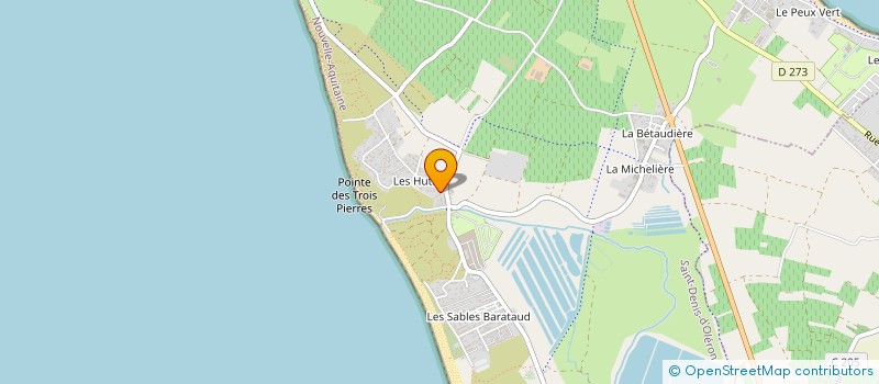 localisation de l'entreprise MADAME NATACHA BRAULT à SAINT-DENIS-D'OLERON
