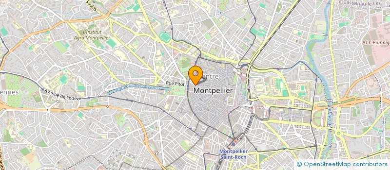 localisation de l'entreprise MADAME NATACHA CAUBET  MONTPELLIER