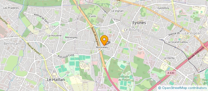 localisation de l'entreprise MADAME NATACHA DASSE  EYSINES