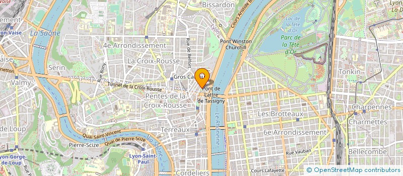 localisation de l'entreprise MADAME NATACHA DRUELLE à LYON