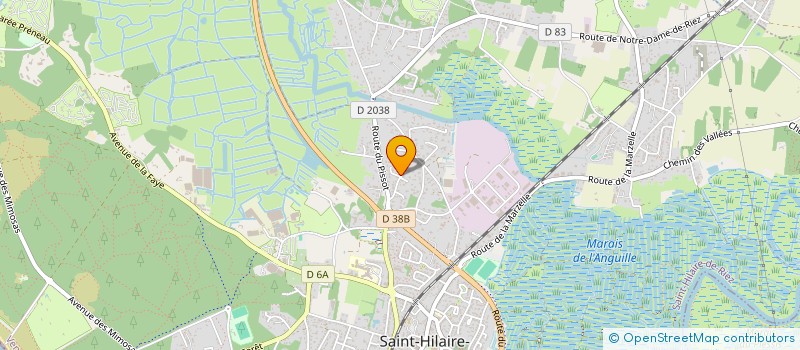 localisation de l'entreprise MADAME NATACHA OSWALD  SAINT-HILAIRE-DE-RIEZ