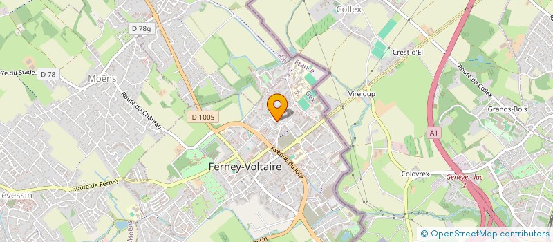 localisation de l'entreprise MADAME NATACHA RAMANGASON à FERNEY-VOLTAIRE