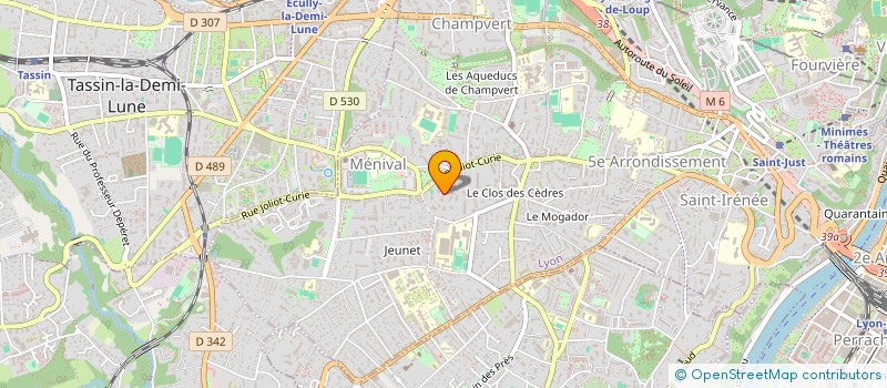 localisation de l'entreprise MADAME NATACHA RUHLMANN à LYON