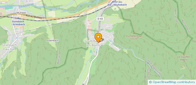 localisation de l'entreprise MADAME NATACHA SPIESER  SOULTZBACH-LES-BAINS