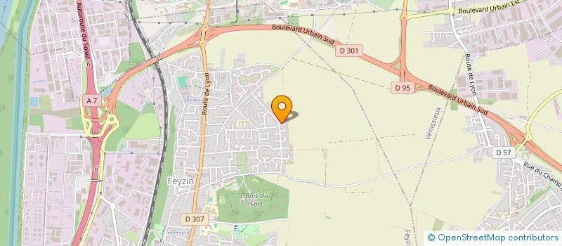 localisation de l'entreprise MADAME NATALIA ARNEIRO FERNANDES  FEYZIN