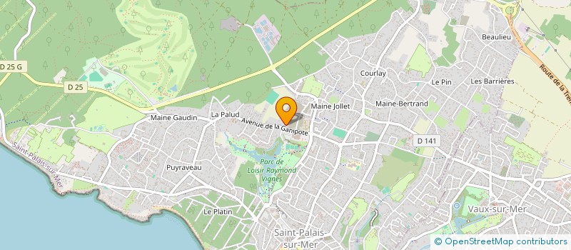 localisation de l'entreprise MADAME NATALIA AYON TELLO  SAINT-PALAIS-SUR-MER