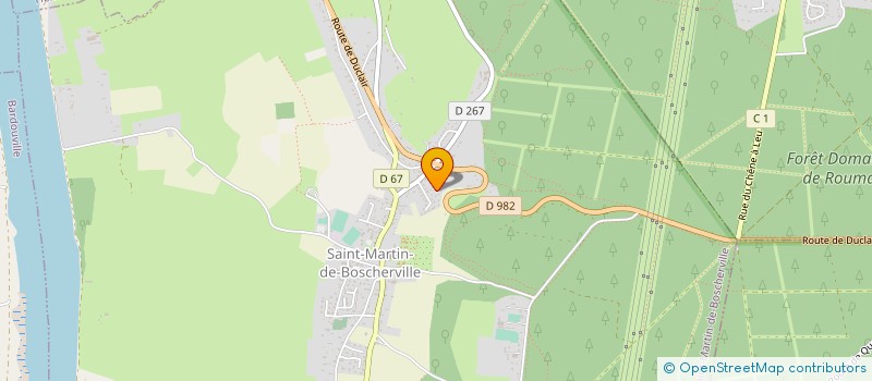 localisation de l'entreprise MADAME NATALIA BAIANDINA  SAINT-MARTIN-DE-BOSCHERVILLE