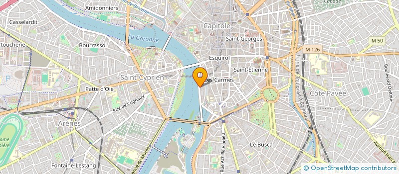 localisation de l'entreprise MADAME NATALIA BRACARENSE à TOULOUSE