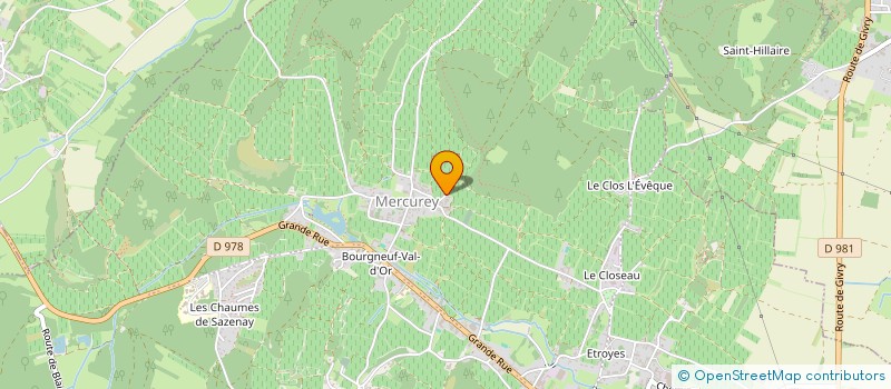 localisation de l'entreprise MADAME NATALIA CHANKO  MERCUREY