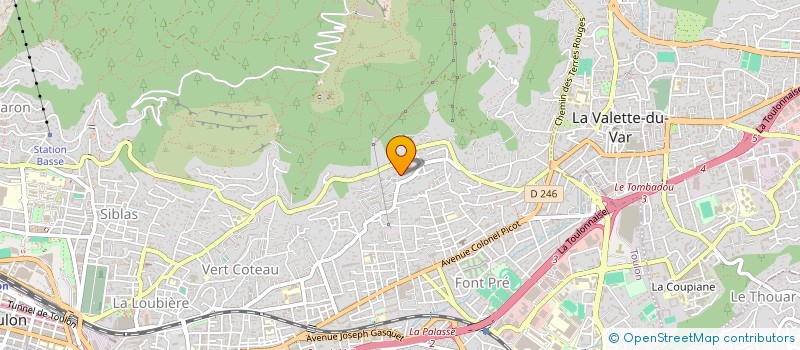 localisation de l'entreprise MADAME NATALIA GORYUNOVA  TOULON