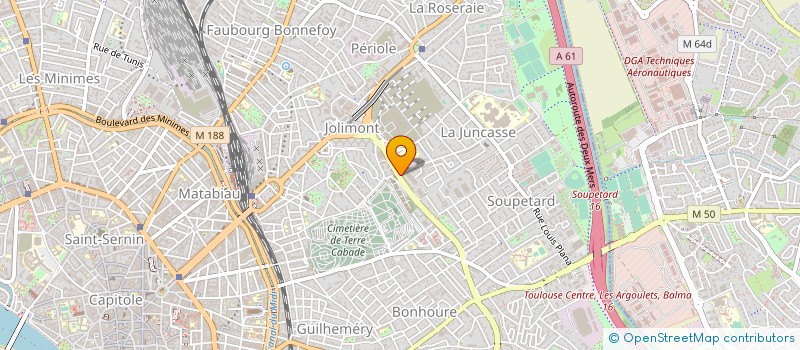 localisation de l'entreprise MADAME NATALIA MYASNIKOVA à TOULOUSE