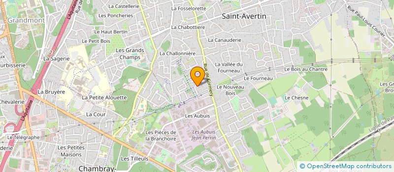 localisation de l'entreprise MADAME NATALIA PRONKO  SAINT-AVERTIN