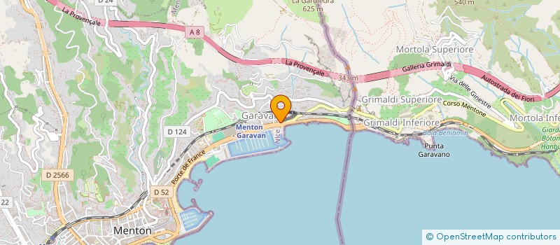 localisation de l'entreprise MADAME NATALIIA HOLOVATIUK à MENTON