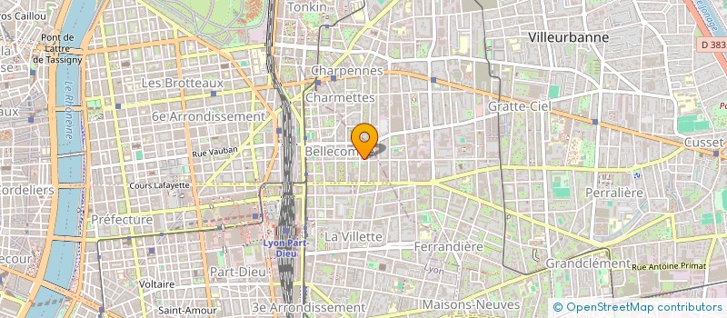 localisation de l'entreprise MADAME NATALIIA MUSIKHINA  LYON