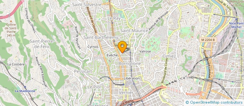 localisation de l'entreprise MADAME NATALIIA PELIKHOVA à NICE