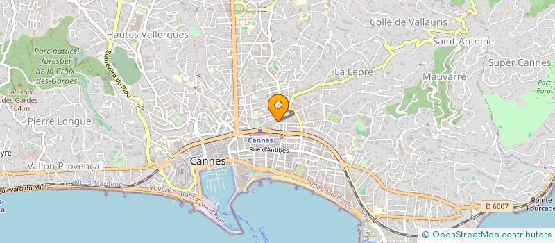 localisation de l'entreprise MADAME NATALIIA ZVIAHINA à CANNES