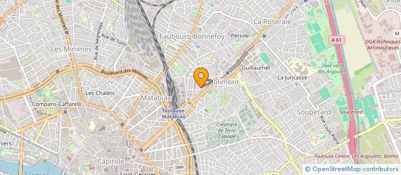 localisation de l'entreprise MADAME NATALIYA VELYKANOVA  TOULOUSE