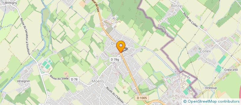 localisation de l'entreprise MADAME NATALYA SLOBODINA  ORNEX