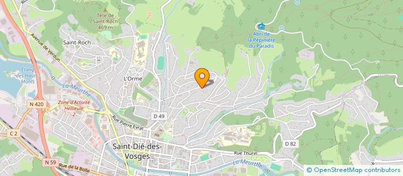 localisation de l'entreprise MADAME NATASA BRAJOVIC  SAINT-DIE-DES-VOSGES